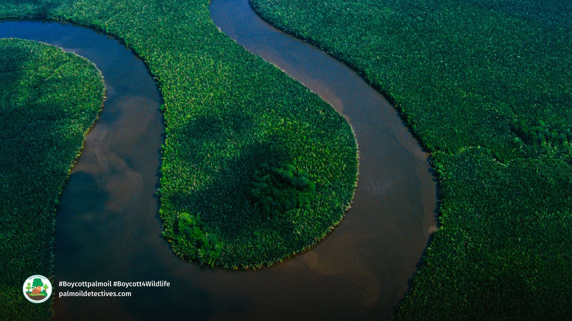 The Mahakam Delta, Borneo. Ms LightBox Getty Images (2)