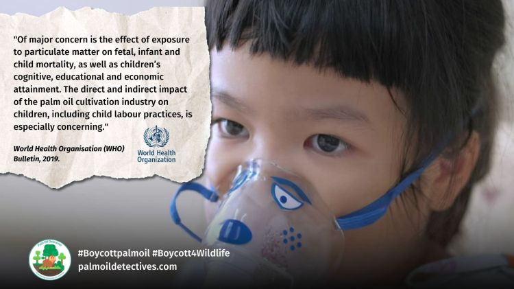WHO Report - Palm oil air pollution health intro slide