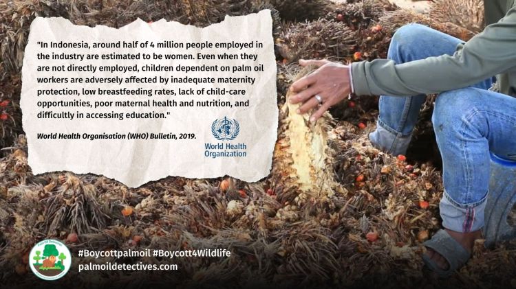 The World Health Organisation's Bulletin: Palm Oil Industry Lobbying and Greenwashing is Like Big Tobacco. Impacts on women and children