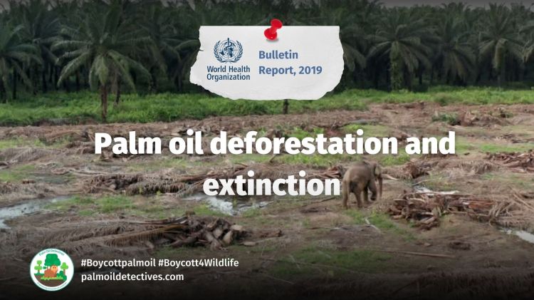 The World Health Organisation's Bulletin: Palm Oil Industry Lobbying and Greenwashing is Like Big Tobacco. Palm. oil's impact on deforestation and animal extinction
