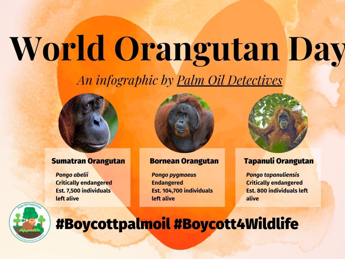 August 19th is #WorldOrangutanDay