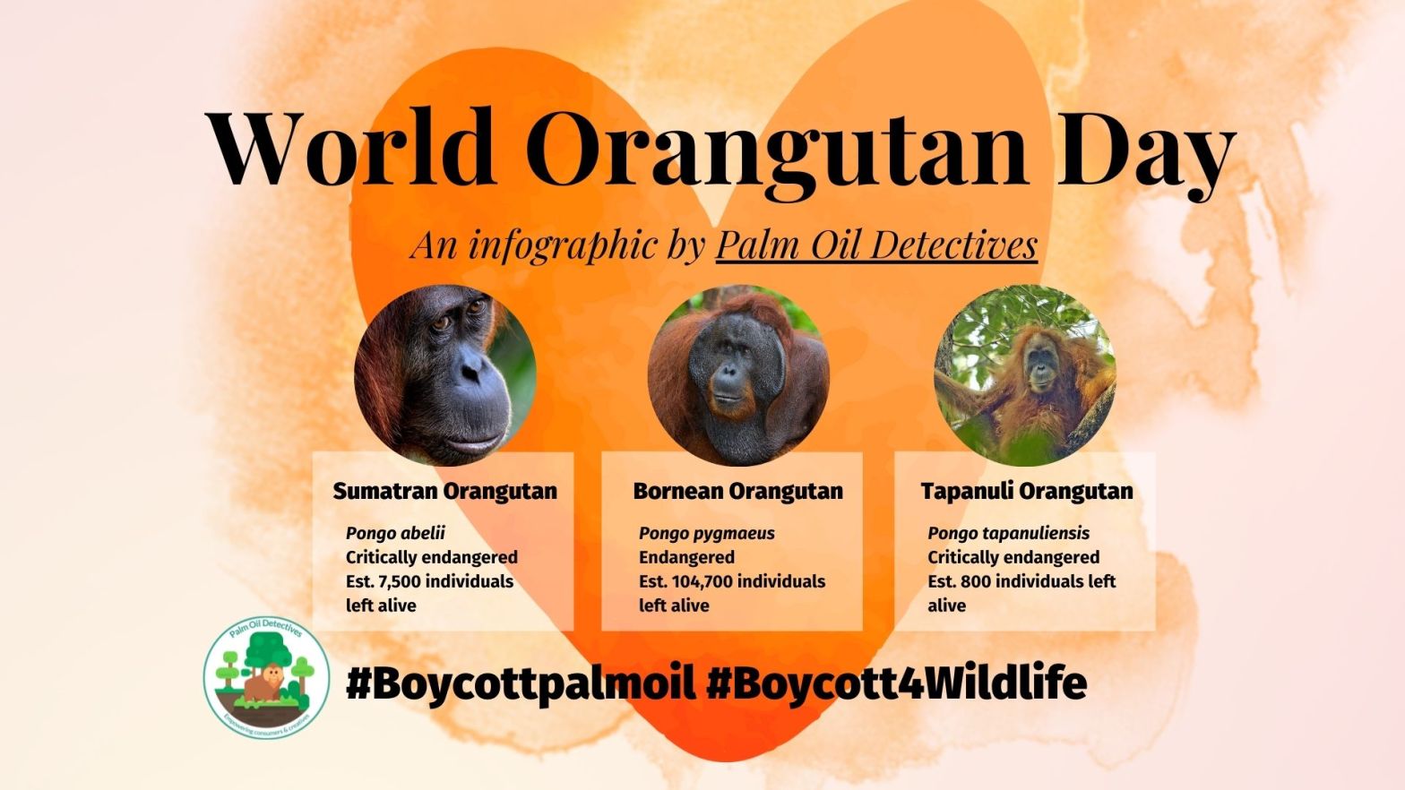 World Orangutan Day - Download your free infographic