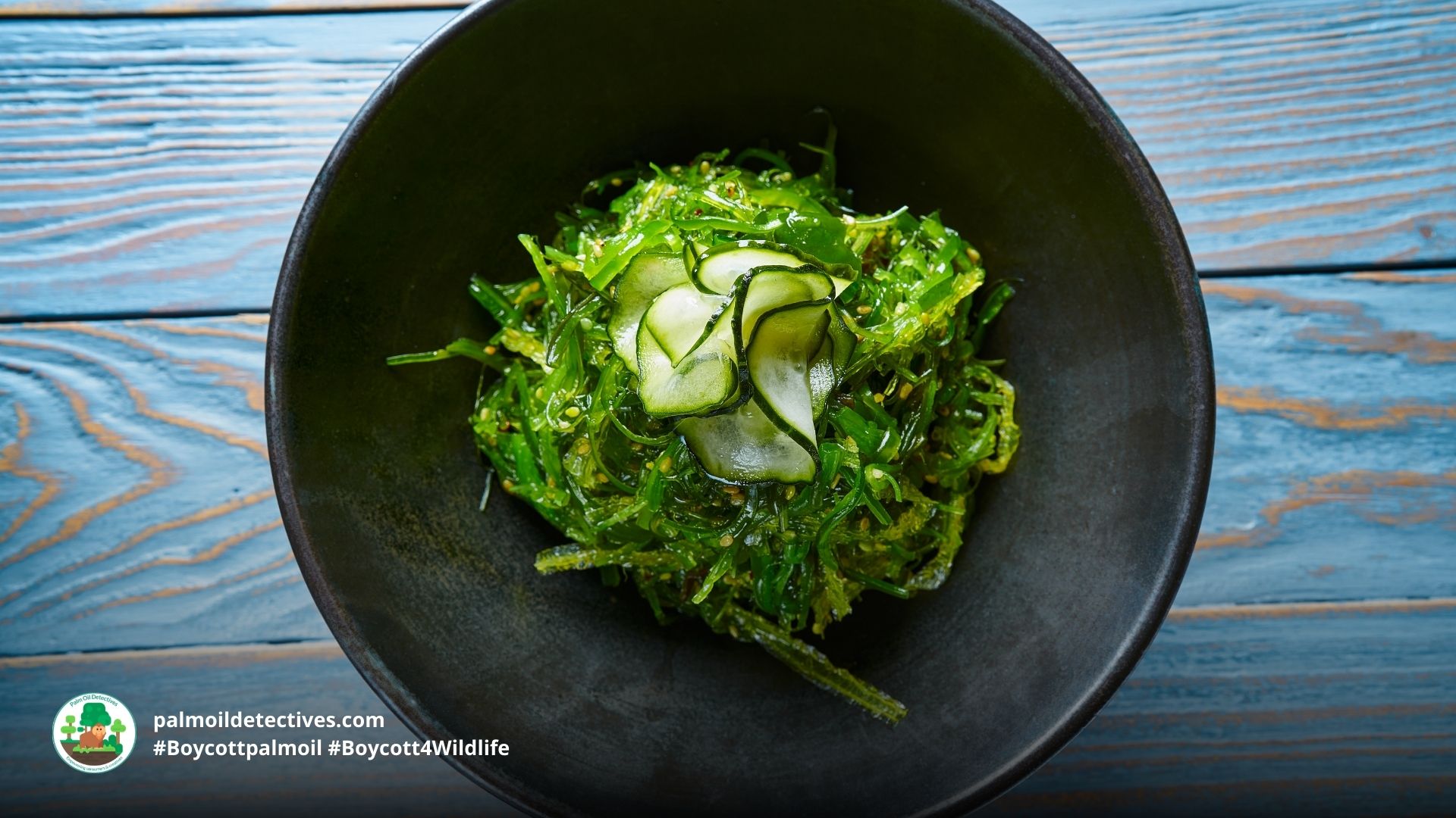 Seaweed: high in vitamins and minerals and saves rainforests Palm Oil Detectives