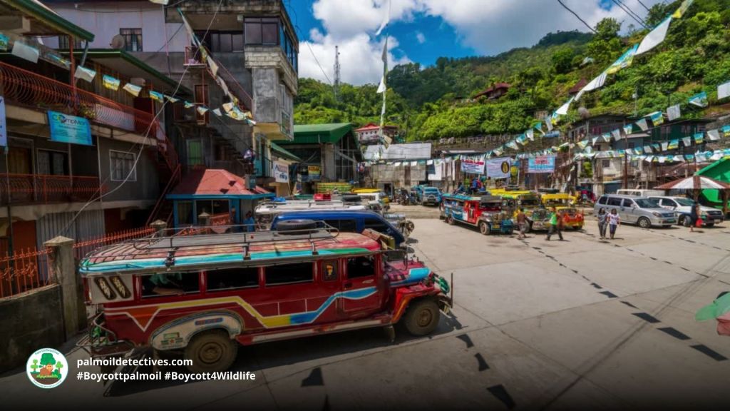 Philippine Eagle Pithecophaga jefferyi - human factors are a threat 7