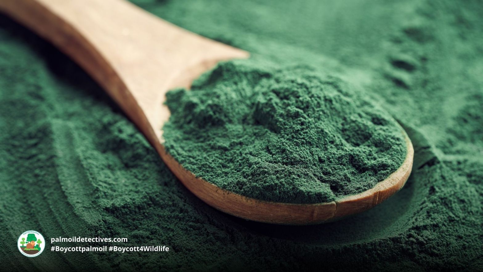 Spirulina algae by Madeleine Steinback on Getty Images