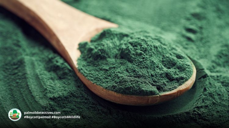Spirulina algae by Madeleine Steinback on Getty Images