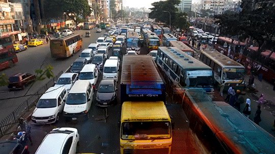 Overpopulation and anthropogenic pressures are having a compounding impact on ecosystems and wildlife