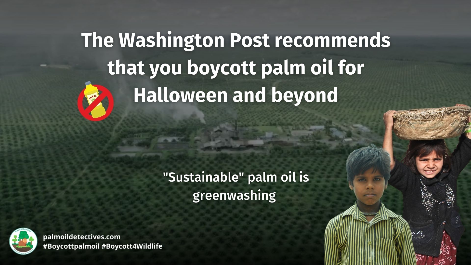 Washington Post recommends you boycott palm oil this Halloween Palm Oil Detectives