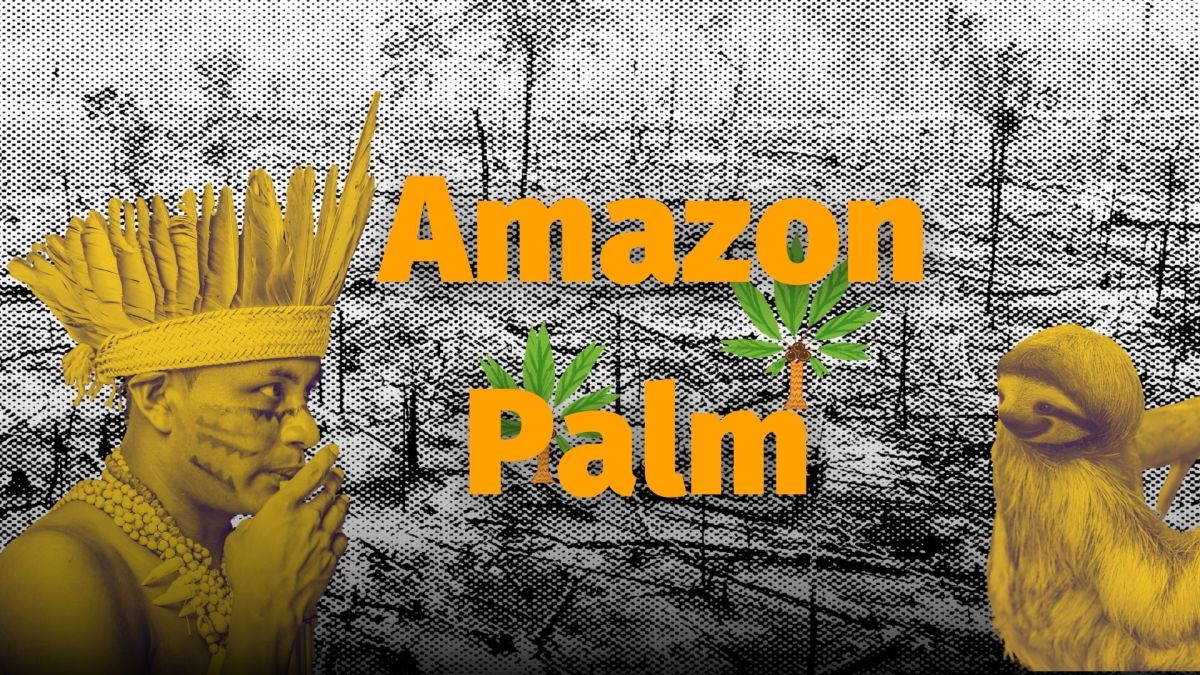 Amazon Palm: Global brands continue to source palm oil from Amazon destroyers Agropalma & BBF