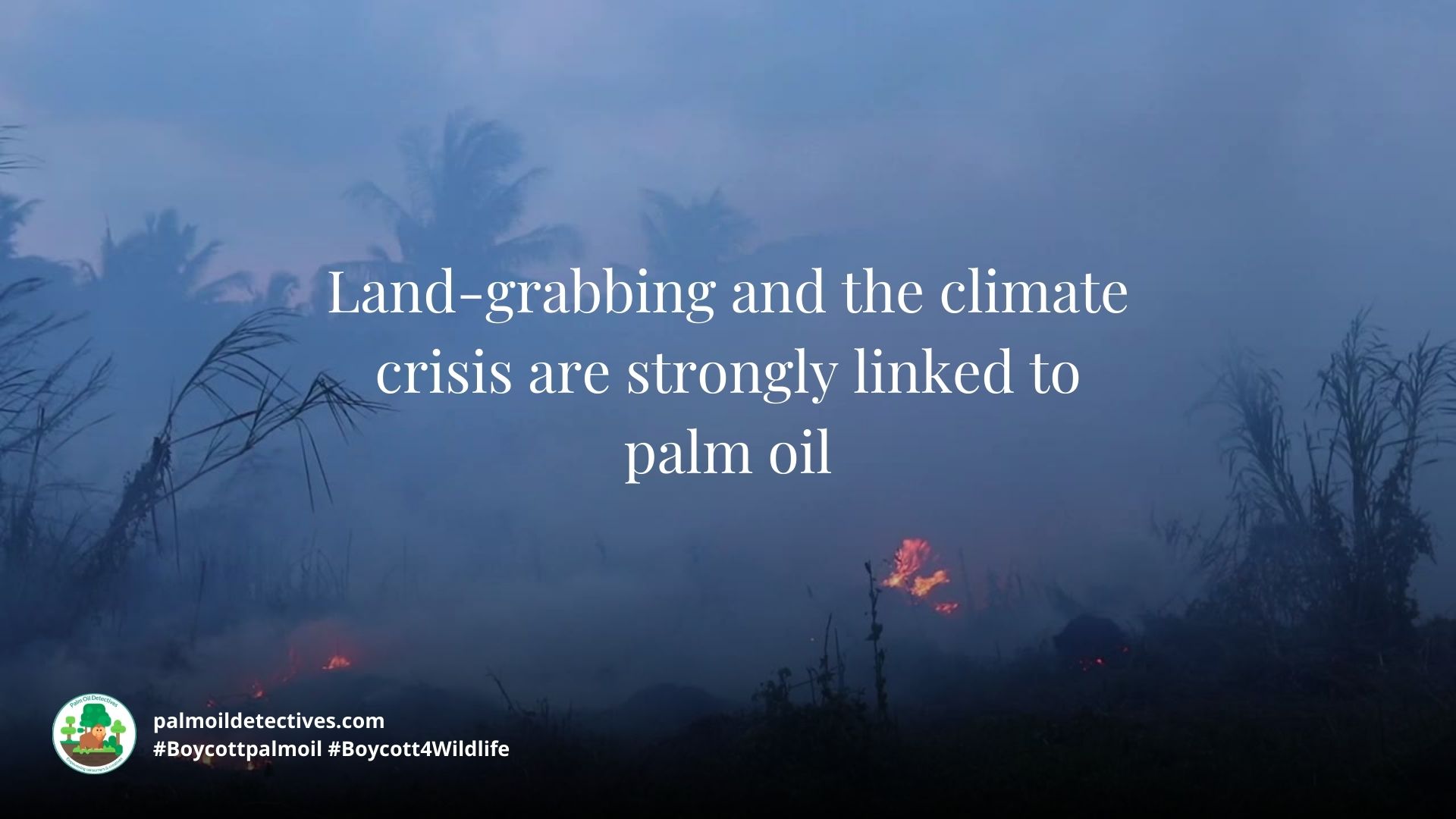 Land-grabbing for palm oil and the climate crisis Palm Oil Detectives
