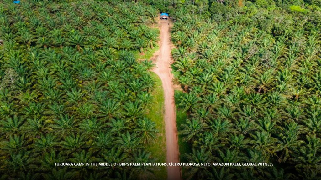 TURIUARA CAMP IN THE MIDDLE OF BBF'S PALM PLANTATIONS. CÍCERO PEDROSA NETO, Global Witness