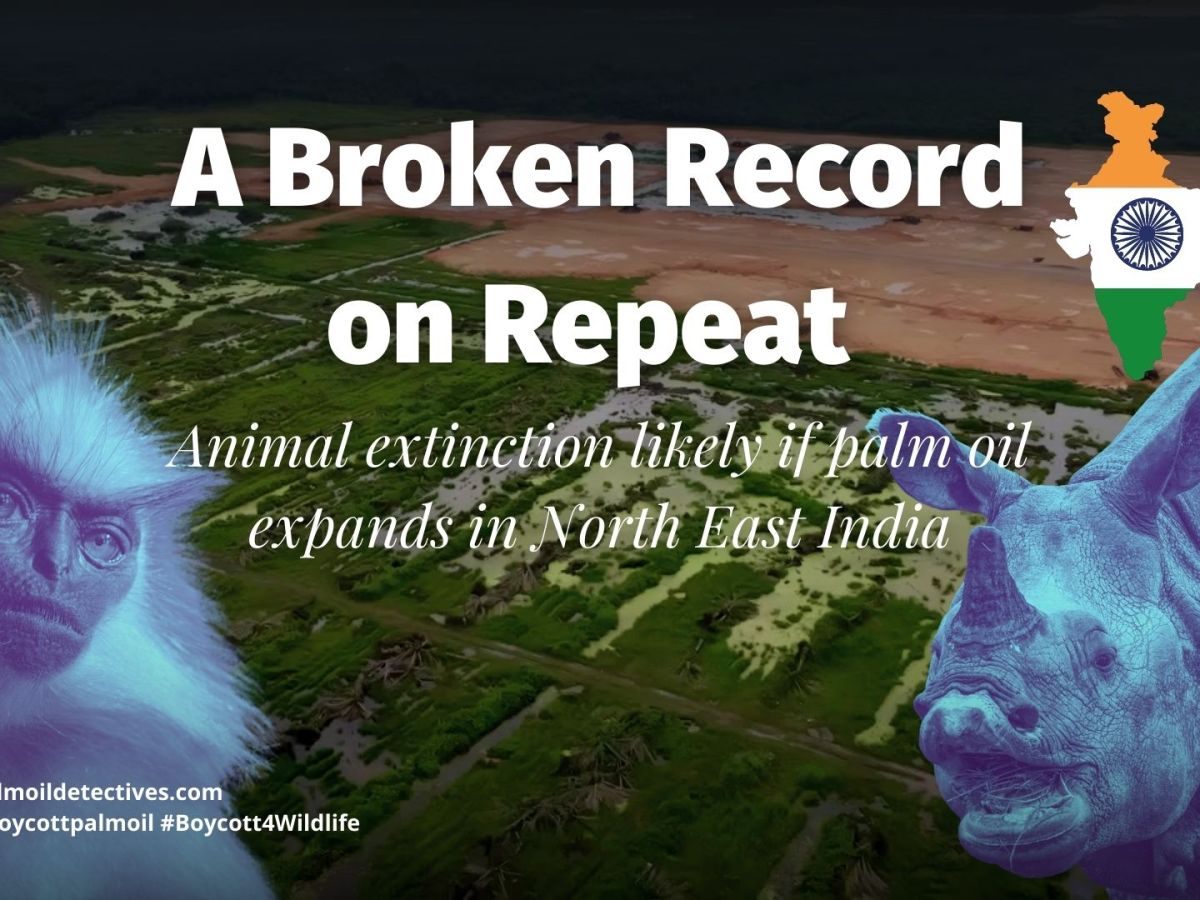 A Broken Record on Repeat – Animal Extinction Likely if Palm Oil Expands in North East&nbsp;India