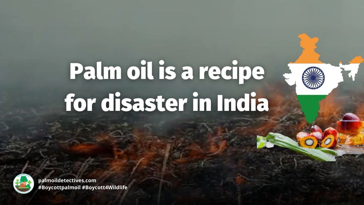 Palm Oil: A Recipe for Disaster in&nbsp;India