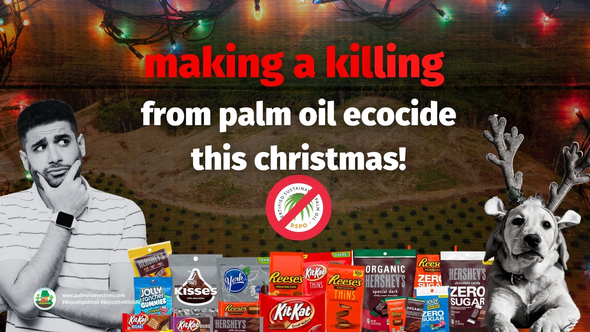 Christmas Boycott palm oil video 2025 cover 1