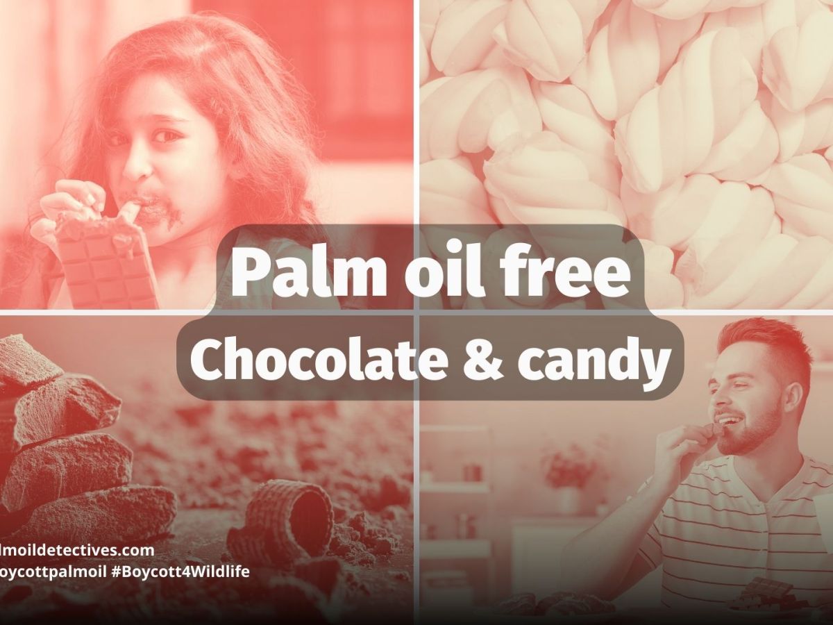 Palm Oil Free Chocolate, Candy and&nbsp;Confectionery