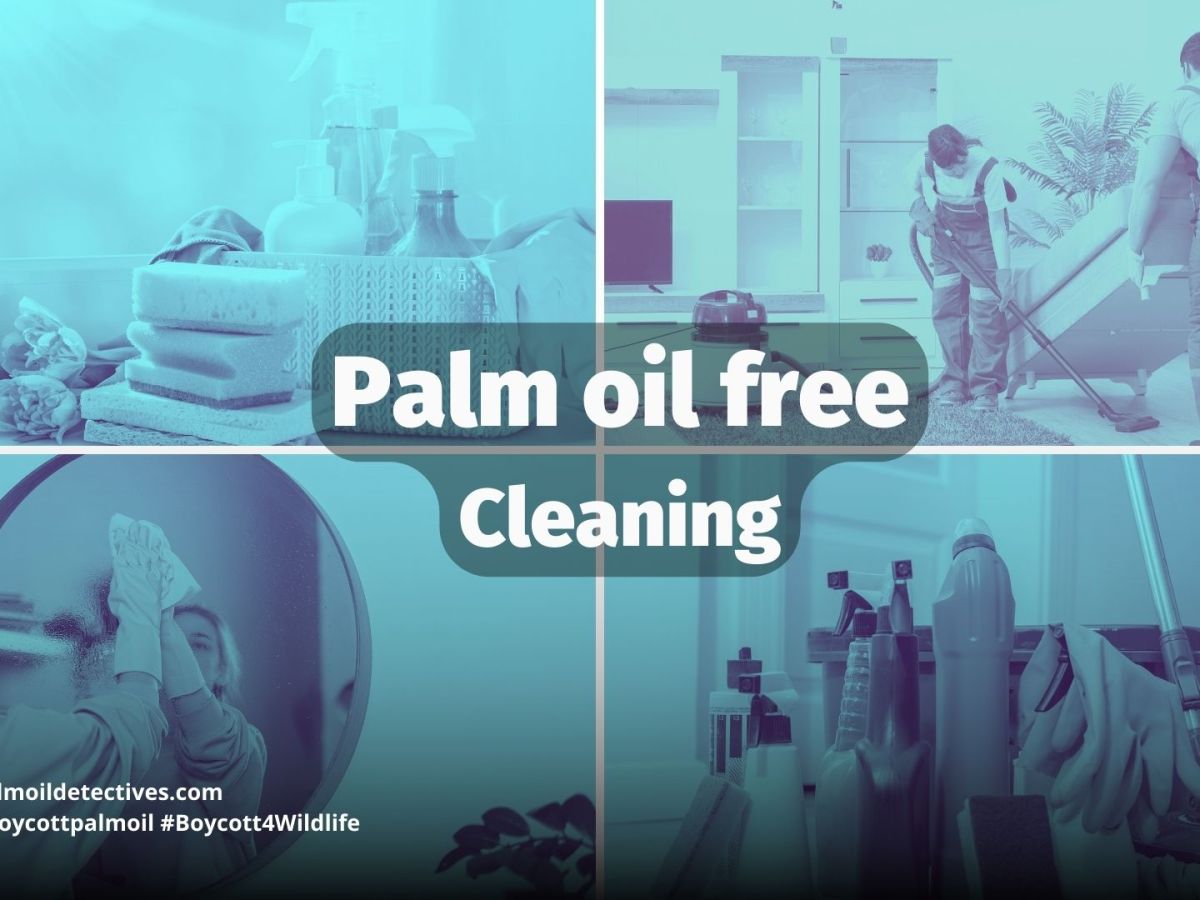 Palm Oil Free Cleaning&nbsp;Products