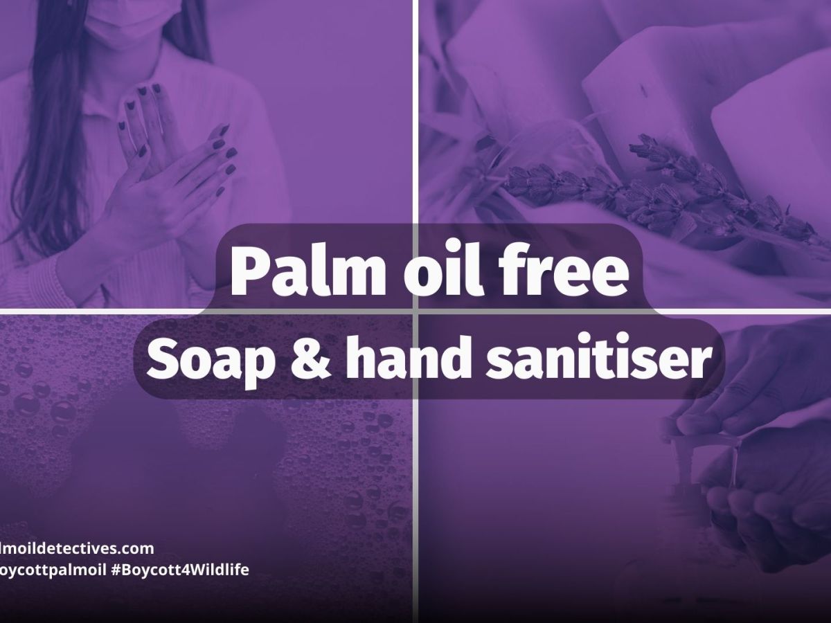 Palm Oil Free&nbsp;Soap