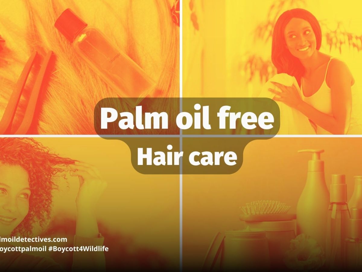 Palm Oil Free&nbsp;Haircare