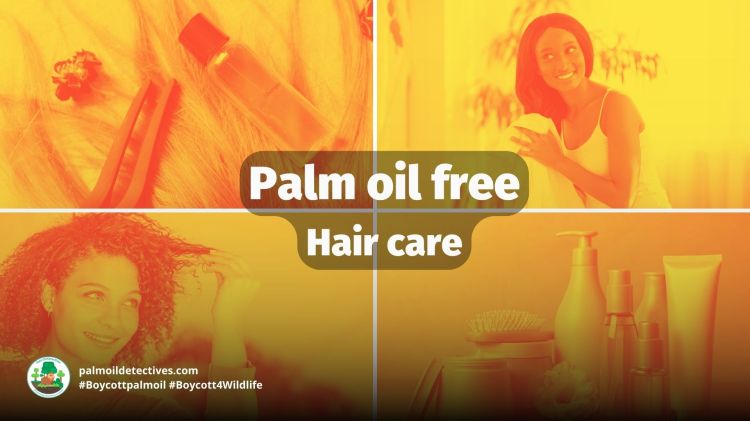Palm Oil Free&nbsp;Haircare