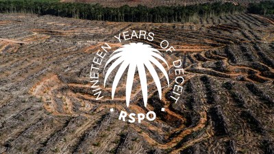 100 NGOS sign a public statement denouncing the RSPO and "sustainable" palm oil as a fake solution that does not stop deforestation