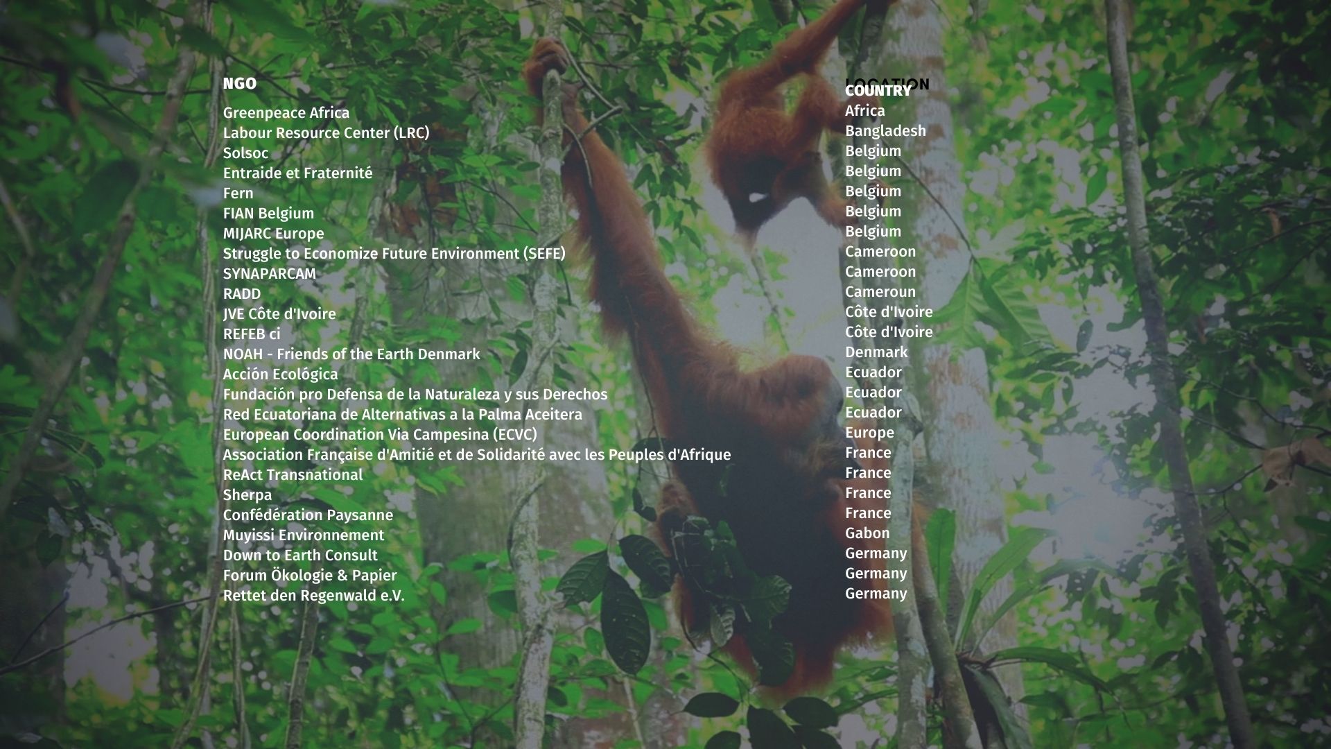 100 NGOS sign a public statement denouncing the RSPO and "sustainable" palm oil as a fake solution that does not stop deforestation