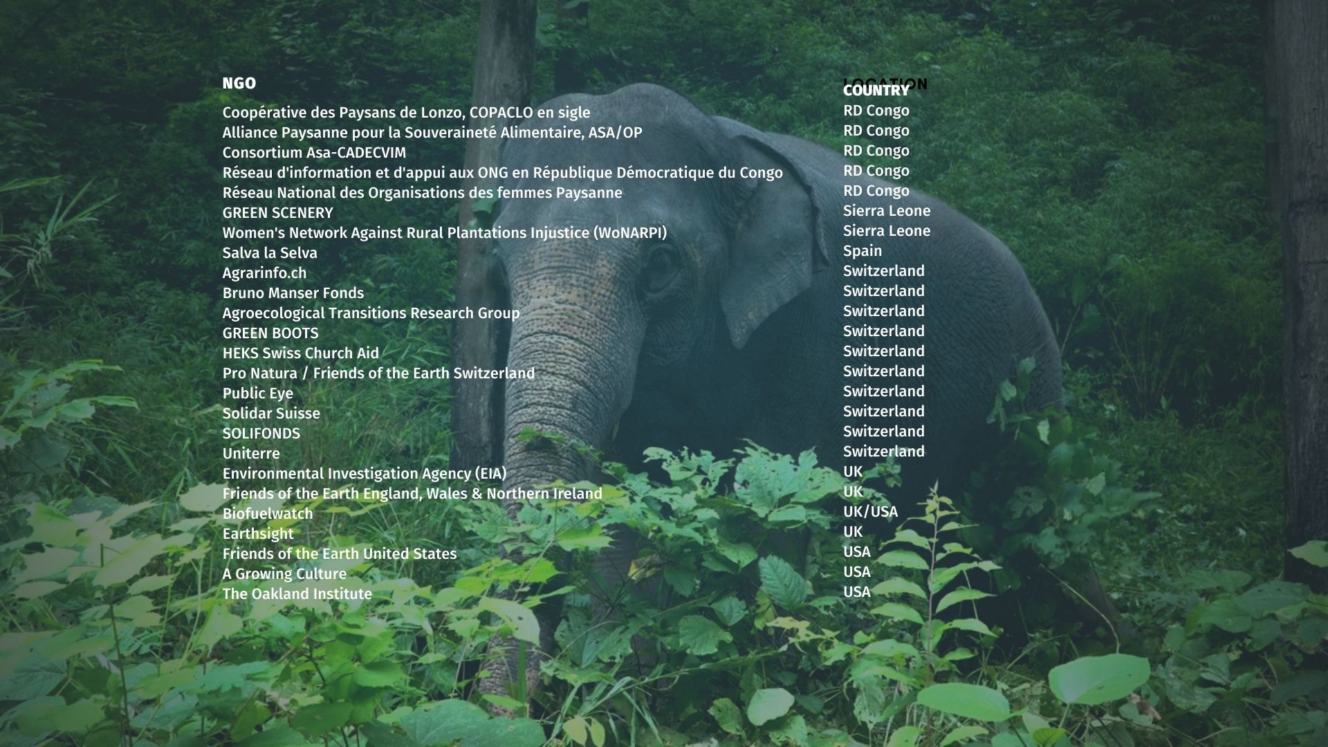 100 NGOS sign a public statement denouncing the RSPO and "sustainable" palm oil as a fake solution that does not stop deforestation