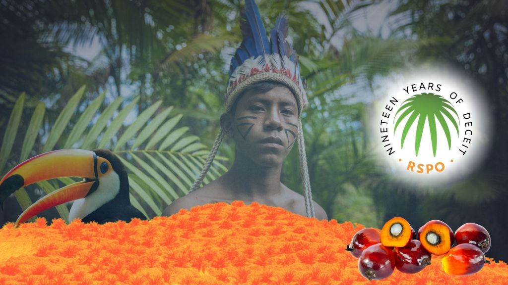Will palm oil watchdog RSPO rid itself of deforestation or continue to pretend its products are sustainable? - EIA