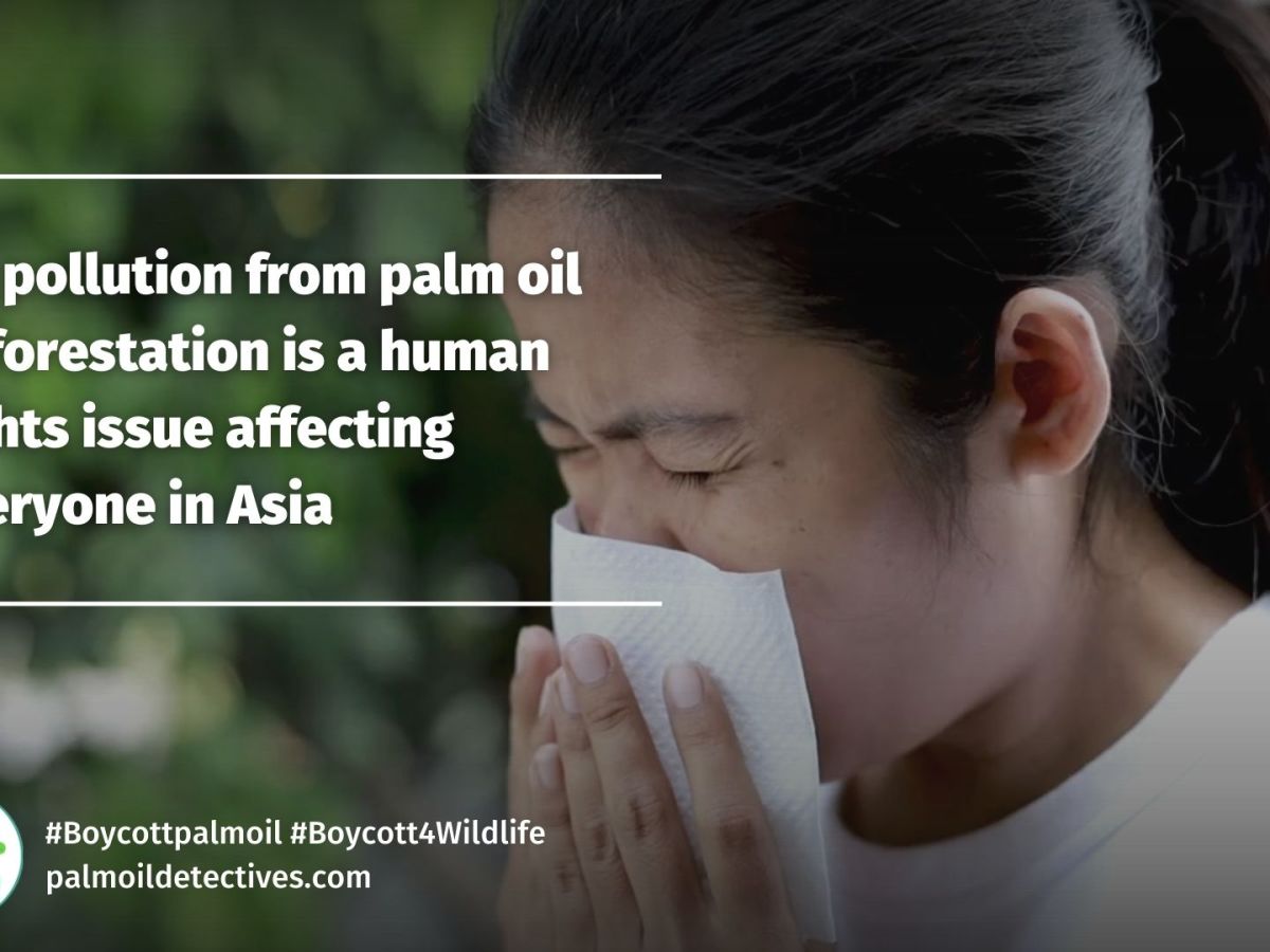 Air Pollution from Palm Oil: A Human Rights&nbsp;Issue