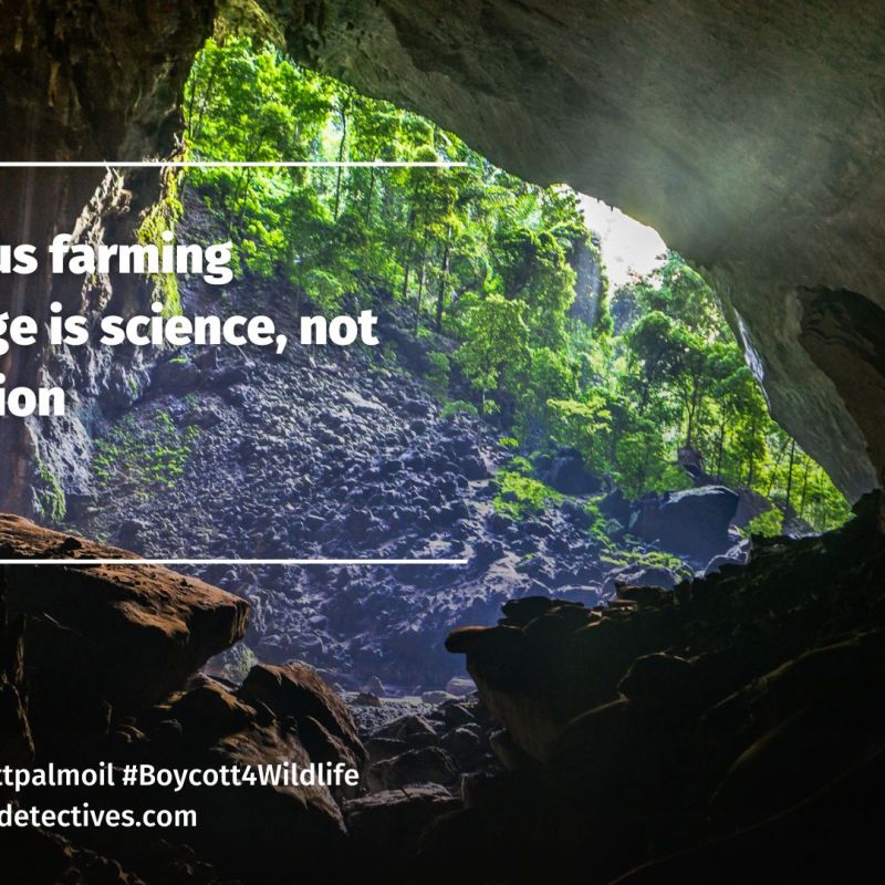 Indigenous Farming: Science, Not&nbsp;Superstition