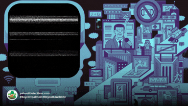 Indonesia misinformation army is ready for war in 2023