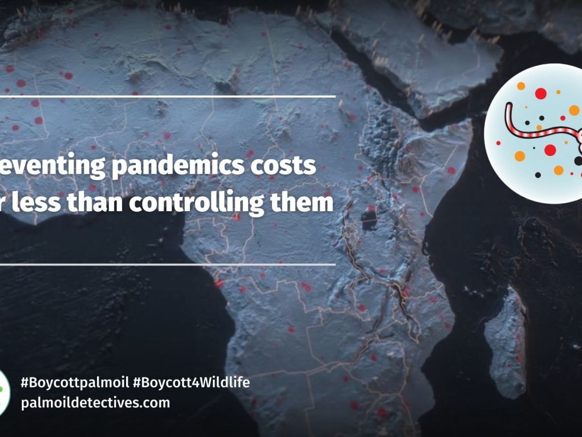 Preventing Pandemics: Cheaper Than Controlling&nbsp;Them