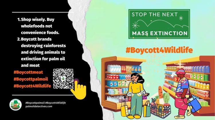 Sumatran elephants: Surrounded by palm oil and nobody knows how many are left alive! #Boycottpalmoil #Boycott4Wildlife