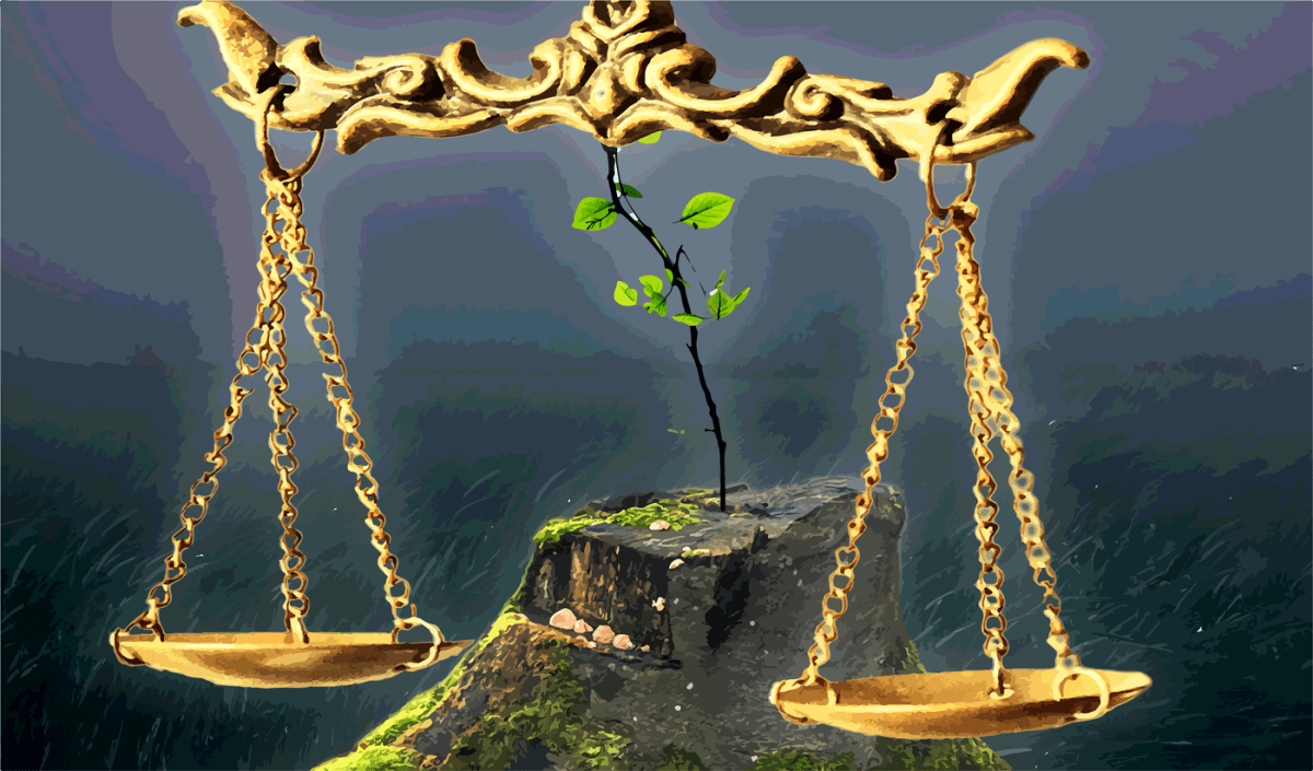 The right for nature to simply exist is clear – the movement to enshrine this into law is&nbsp;growing