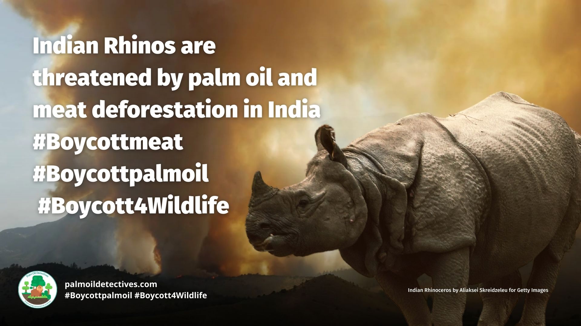 Indian rhinos are threatened by palm oil deforestation in India