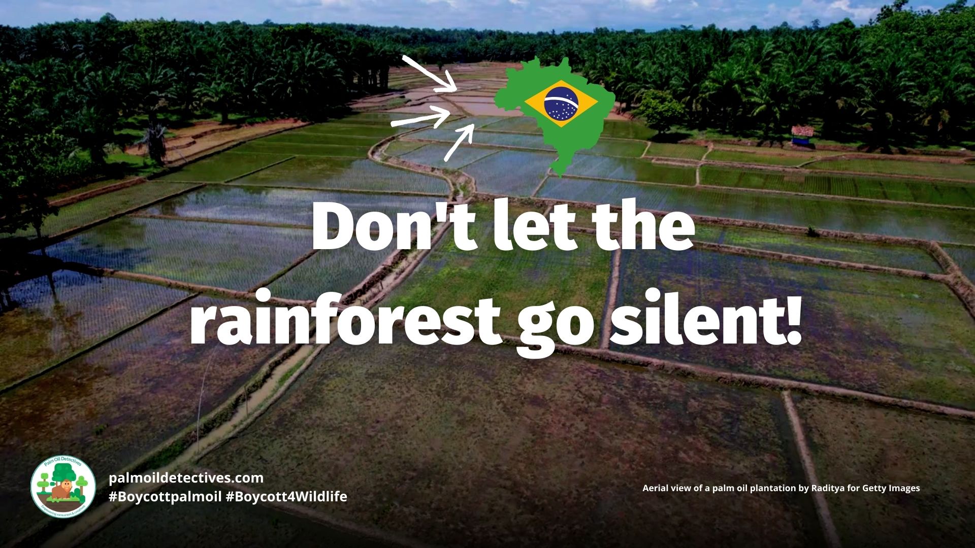 Northern Muriqui Brachyteles hypoxanthus - #Boycott4Wildlife