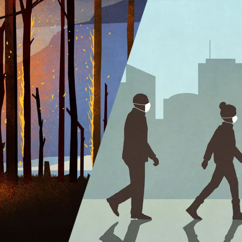 Amazon Clarion Call: Pandemics Emerging in the&nbsp;Rainforest