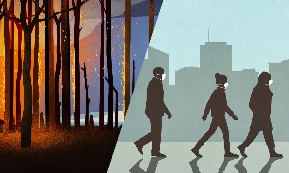 Amazon Clarion Call: Pandemics Emerging in the&nbsp;Rainforest