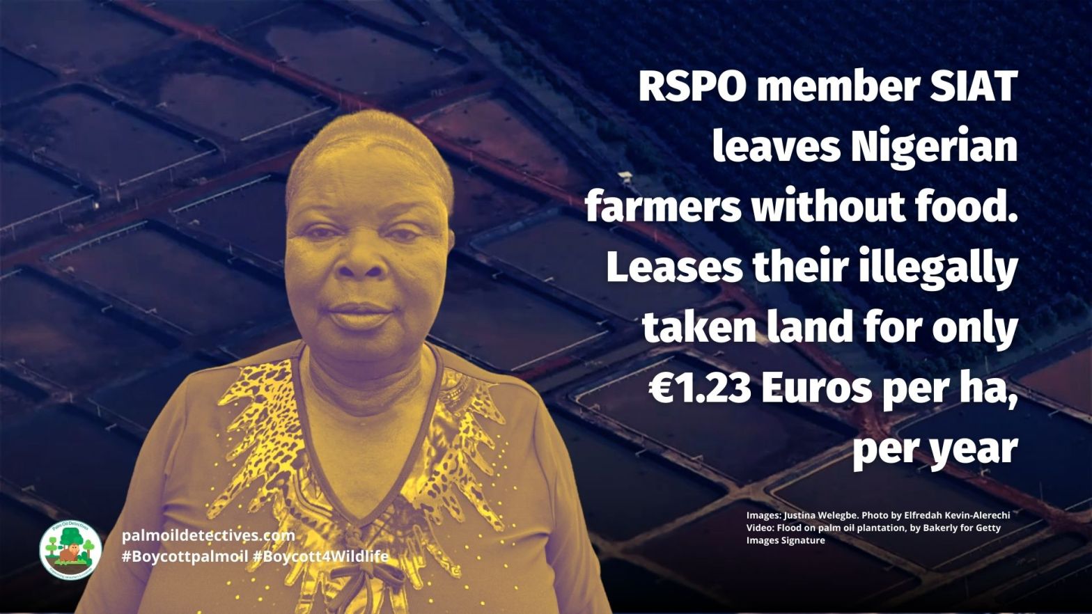 RSPO member SIAT leaves Nigerian farmers without food. Leases their illegally taken land for €1.23 Euros per hectare, per year