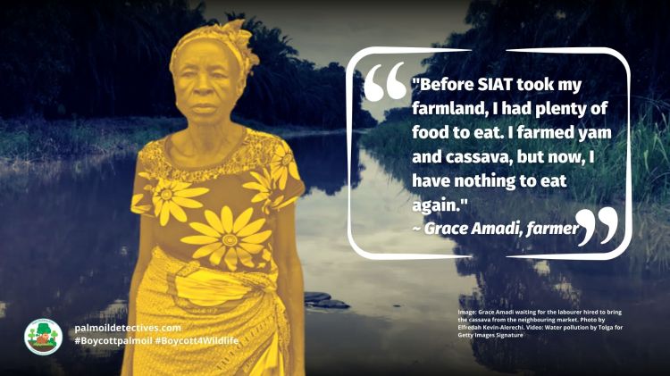 RSPO member SIAT leaves Nigerian farmers without food. Leases their illegally taken land for €1.23 Euros per hectare, per year