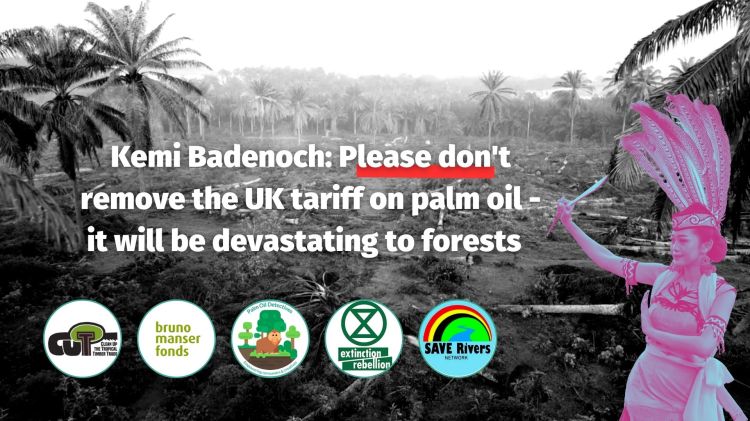 The CUT Campaign and its partners ask MP Kemi Badenoch to keep UK tariffs palm oil to prevent&nbsp;ecocide