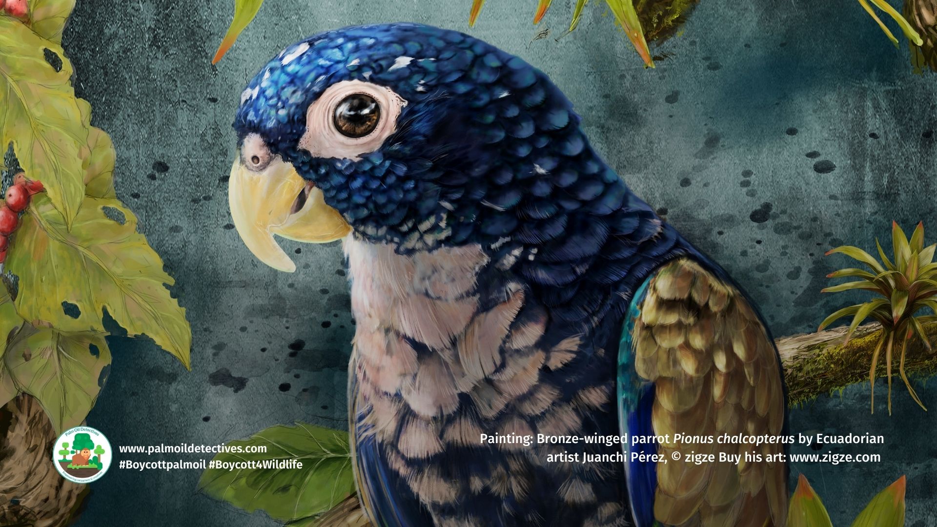 Bronze-winged parrot Pionus chalcopterus by Ecuadorian artist Juanchi Pérez slider