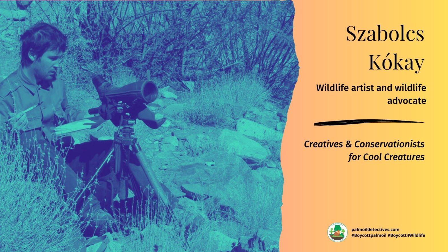 Szabolcs Kókay: Wildlife Artist