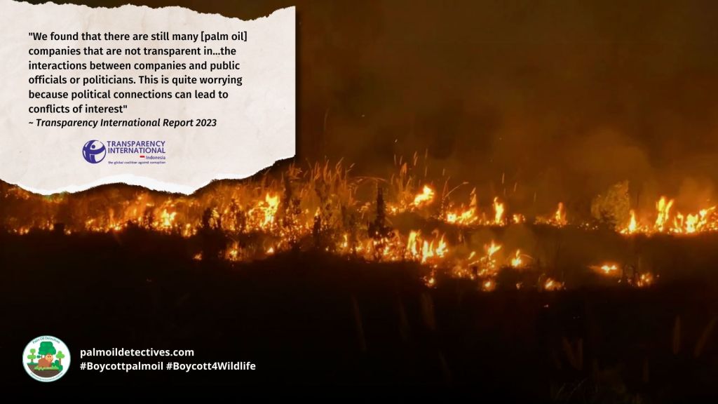 Transparency International report: corruption and corporate capture in Indonesia's Top 50 palm oil companies