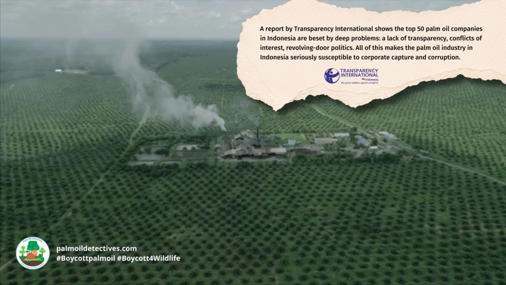 Transparency International report: corruption and corporate capture in Indonesia's Top 50 palm oil companies