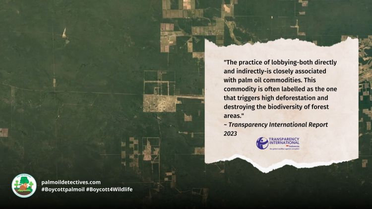 Transparency International report: corruption and corporate capture in Indonesia's Top 50 palm oil companies