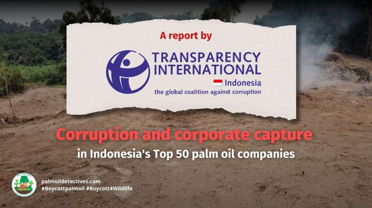 Transparency International: Corruption of Indonesian Palm&nbsp;Oil