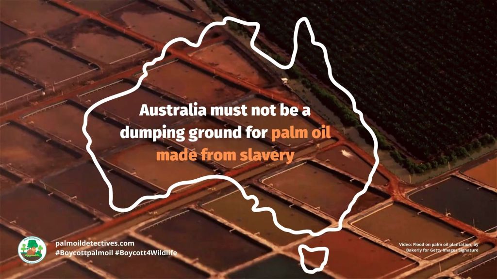 Australia must not be a dumping ground for palm oil made from slavery: The Australian Greens