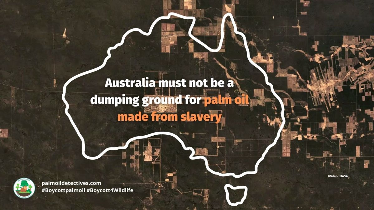 Australia must not be a dumping ground for palm oil made from slavery: The Australian&nbsp;Greens