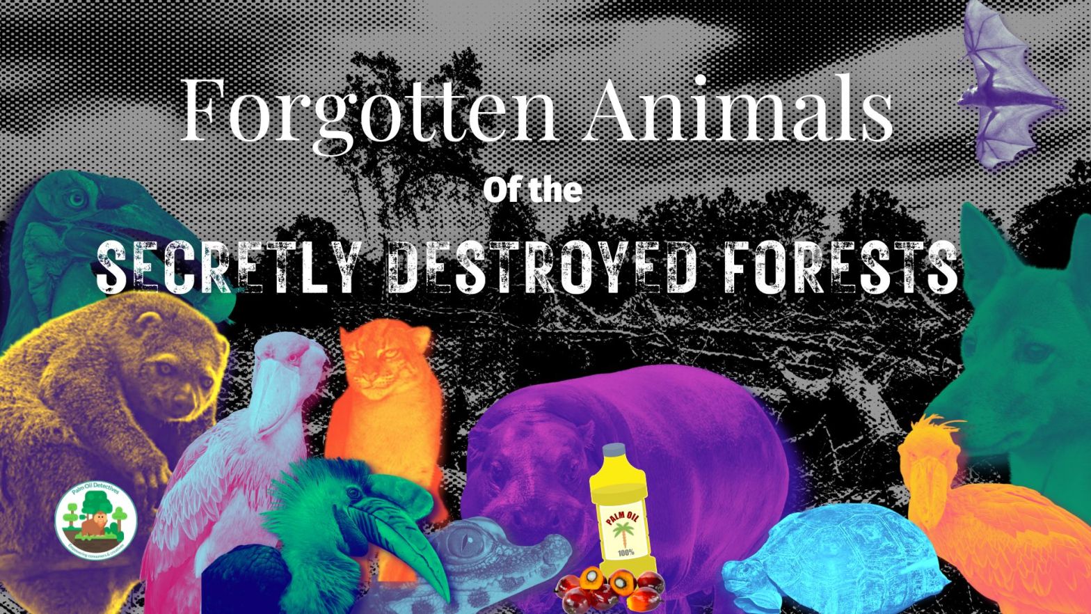 These are the forgotten animals of the secretly destroyed forests