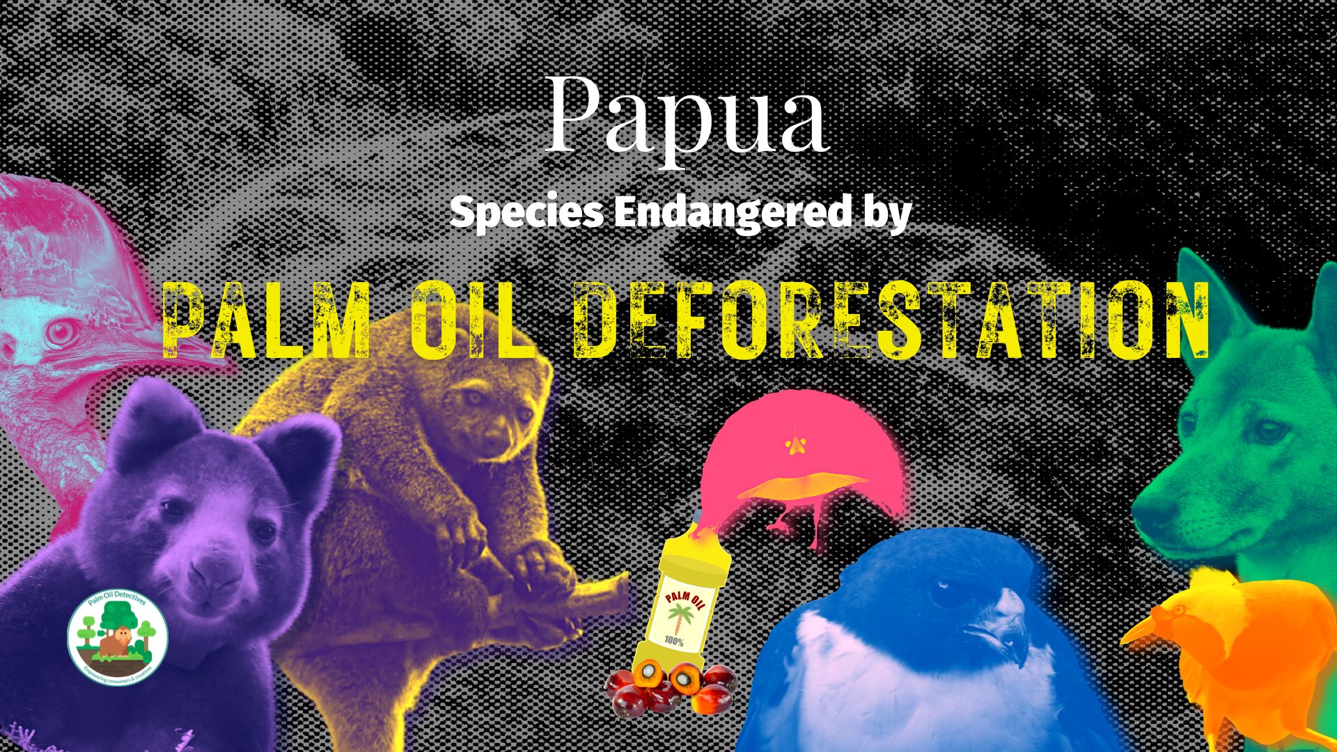 Papua New Guinea & West Papua: Species Endangered by Palm Oil Deforestation